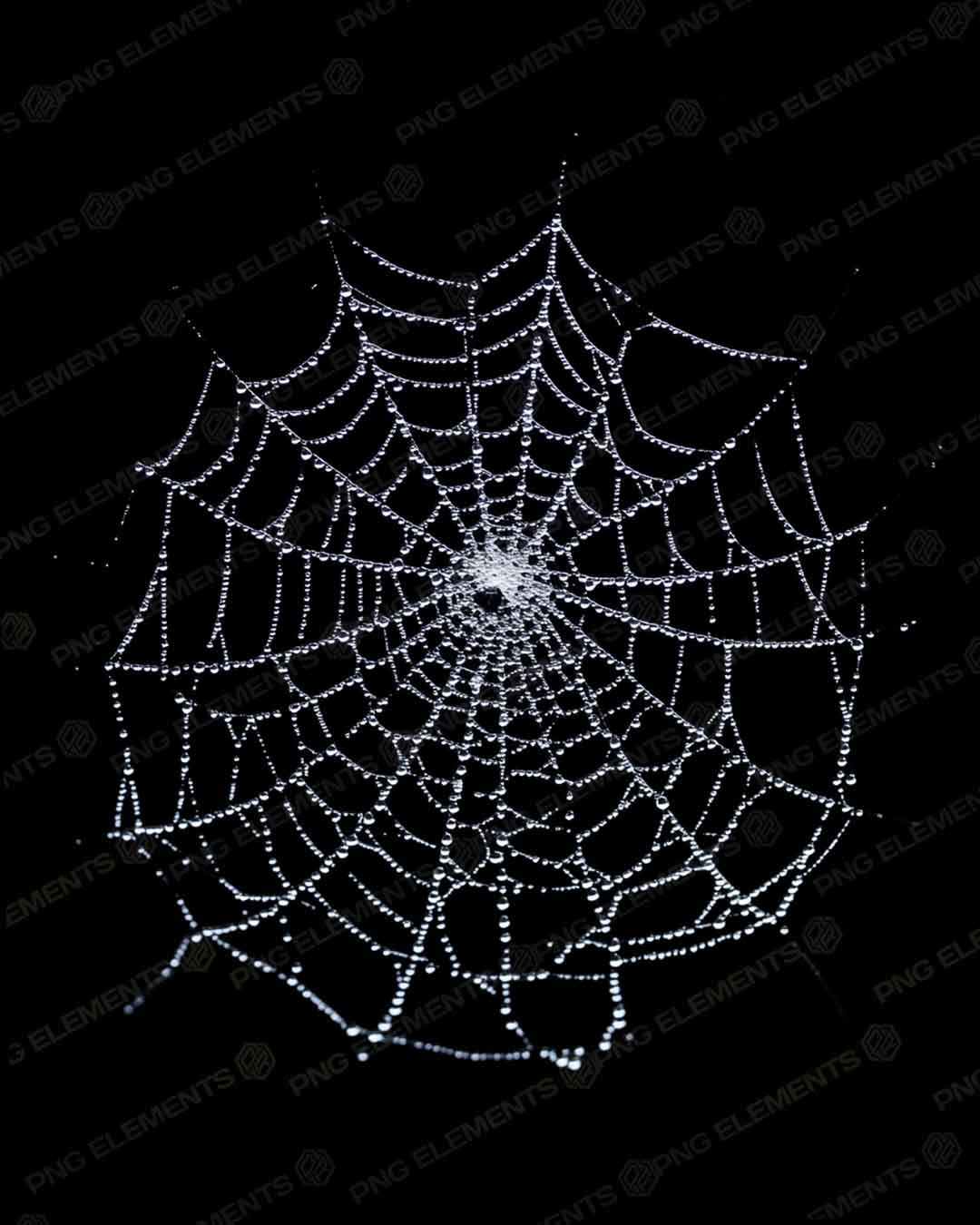 TEIA DE ARANHA -SPIDER WEB - ELEMENTO PNG - PNG ELEMENTO - EGG PNG