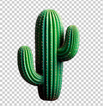 CACTO SÃO JOÃO ELEMENTO PNG SÃO JOÃO FESTA JUNINA - CACTO