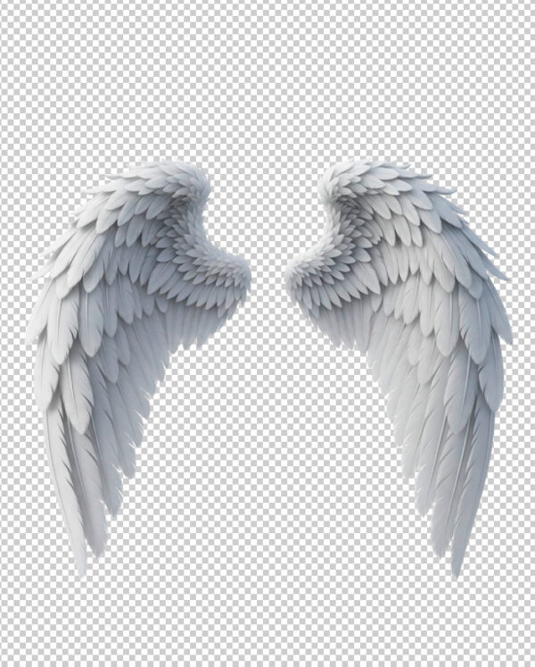 Asas de Anjo PNG – Download Grátis com Fundo Transparente